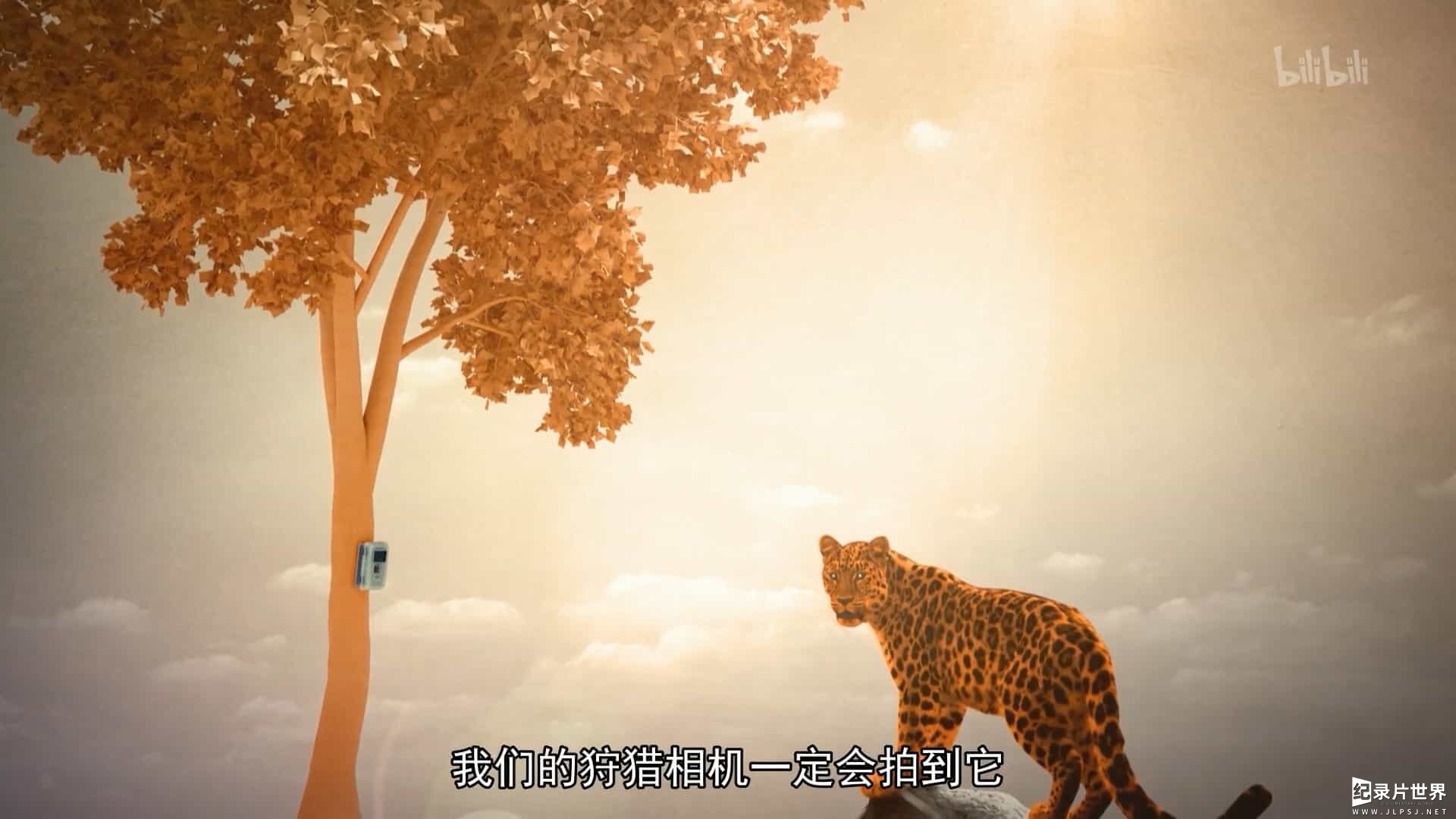 俄罗斯纪录片《豹子故事》全14集 