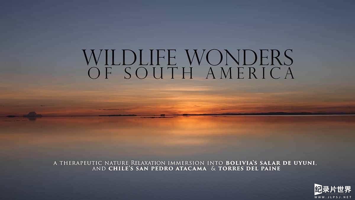 美国纪录片《南美野生动物奇观 Wildlife Wonders of South America》全1集 