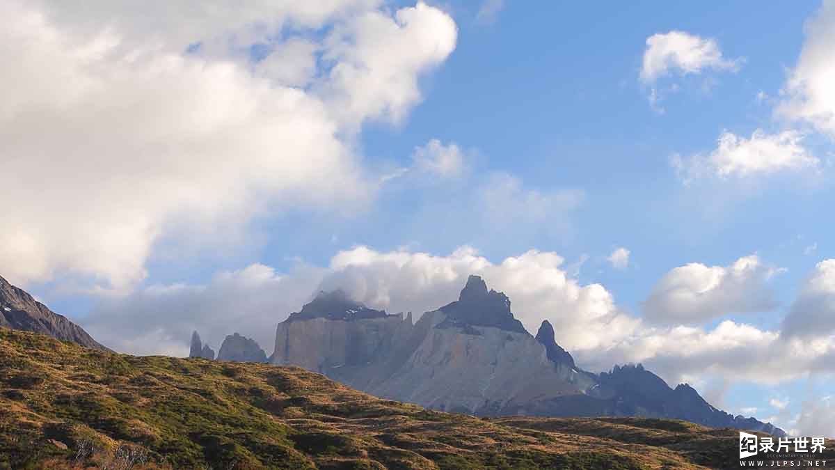 美国纪录片《南美野生动物奇观 Wildlife Wonders of South America》全1集 