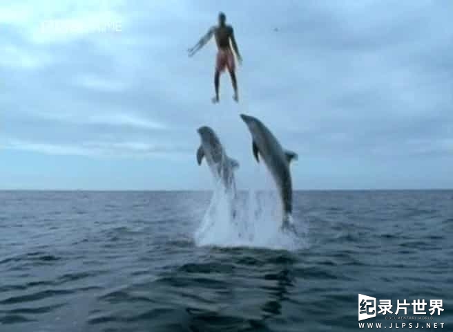 BBC纪录片《聪明的海豚 Dolphins-Deep Thinkers 2005》全1集