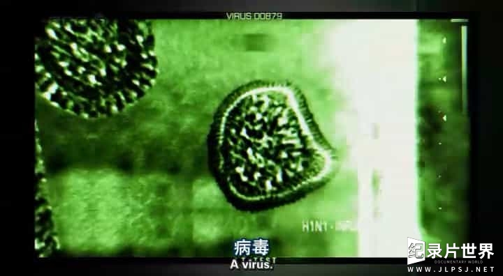 BBC纪录片《病毒为何致命 Why Do Viruses Kill 2010》全1集