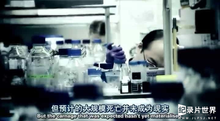 BBC纪录片《病毒为何致命 Why Do Viruses Kill 2010》全1集