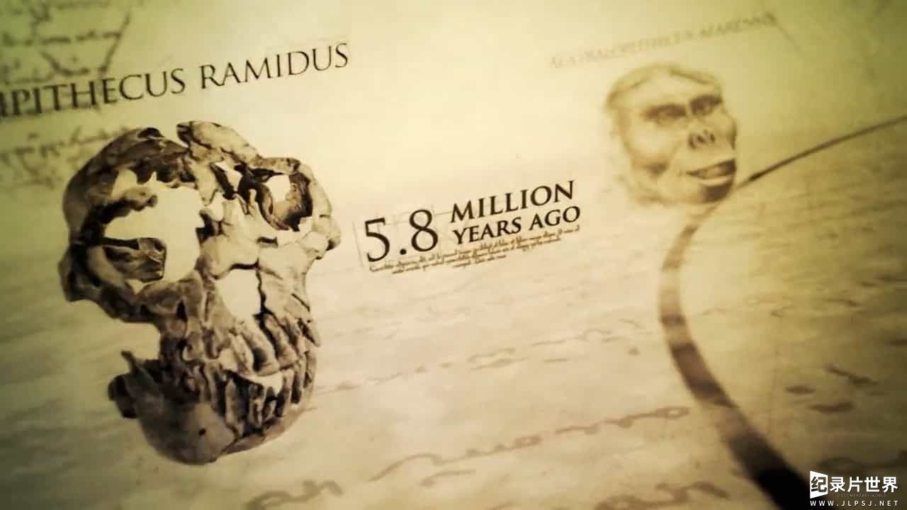 BBC纪录片《我们的起源/人类的起源/人体的进化旅程 Origins of Us 2011》全3集
