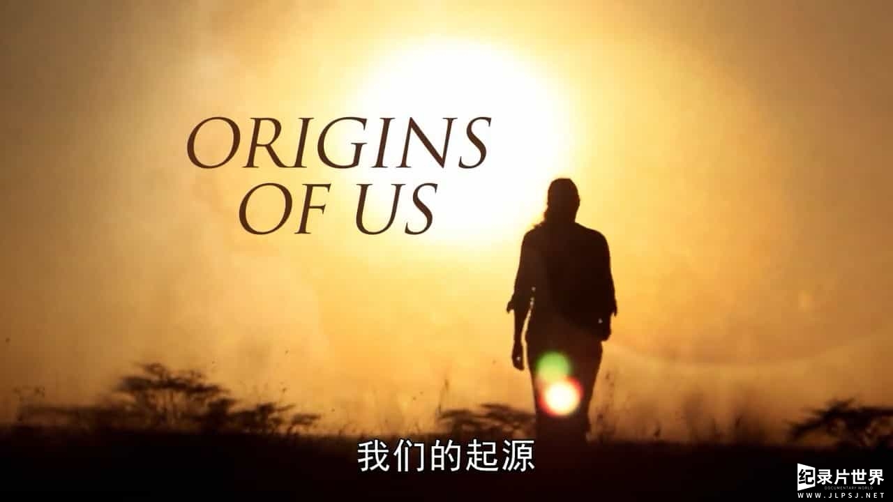 BBC纪录片《我们的起源/人类的起源/人体的进化旅程 Origins of Us 2011》全3集