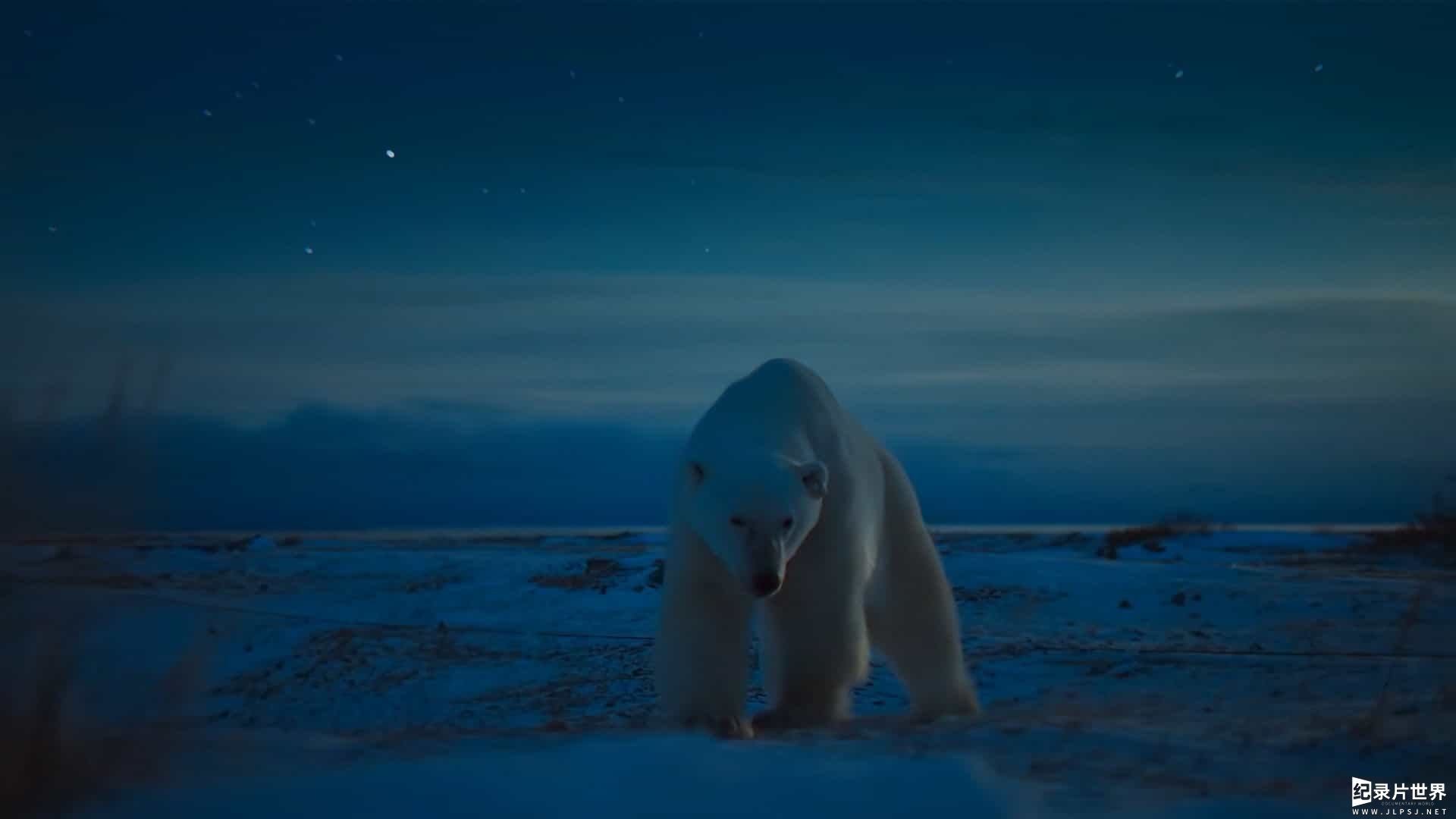 AppleTV纪录片《夜色中的地球/探索夜色大地 Earth at Night in Color 2020》第1-2季全12集