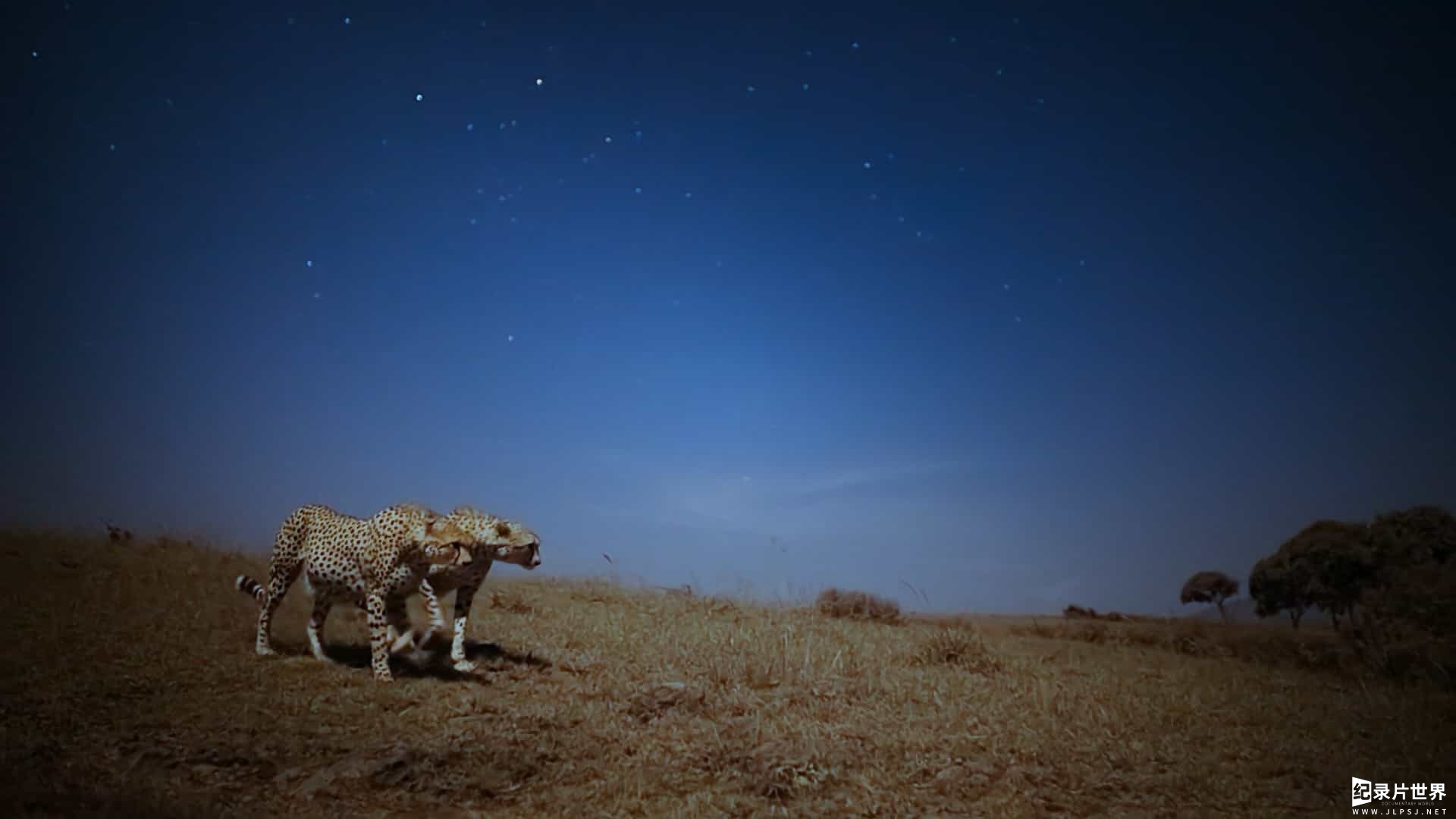 AppleTV《夜色中的地球 Earth at Night in Color 2021》第2季全6集