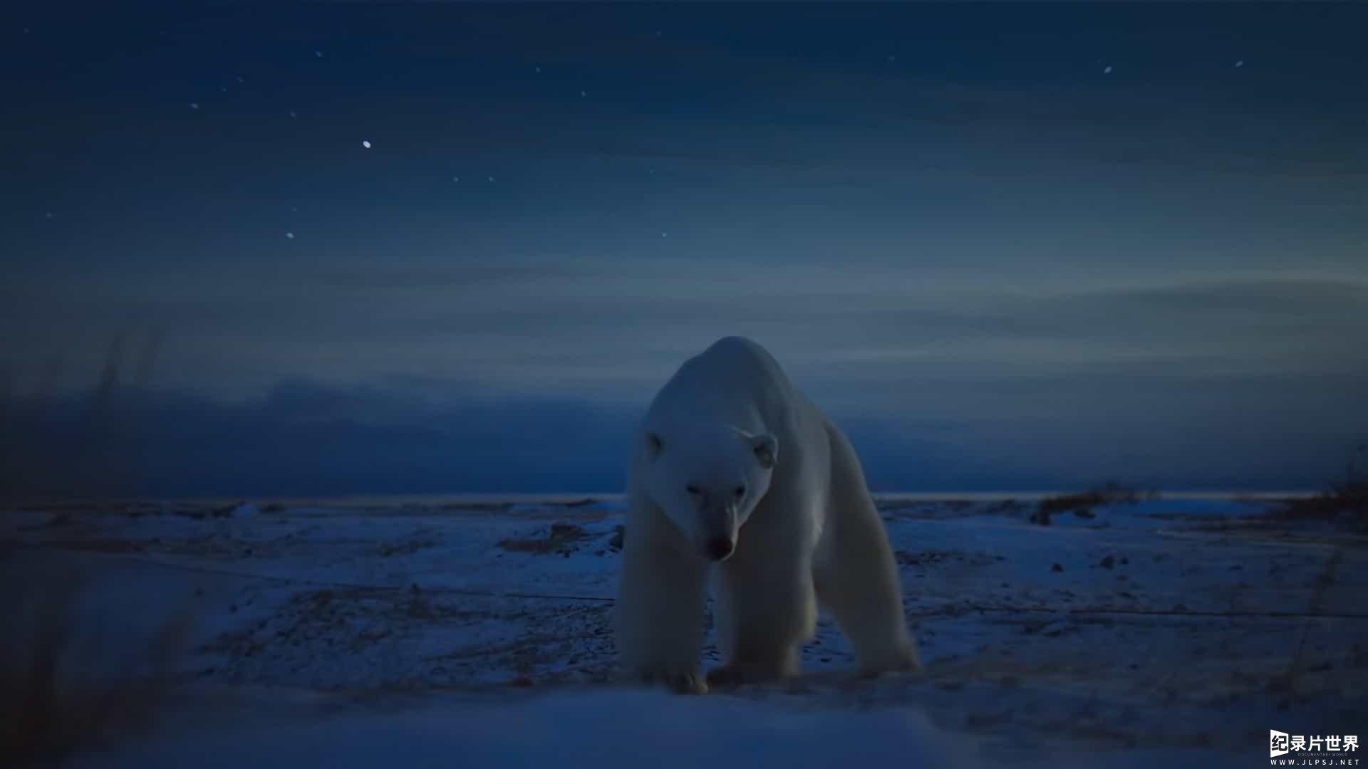 AppleTV《夜色中的地球 Earth at Night in Color 2021》第2季全6集