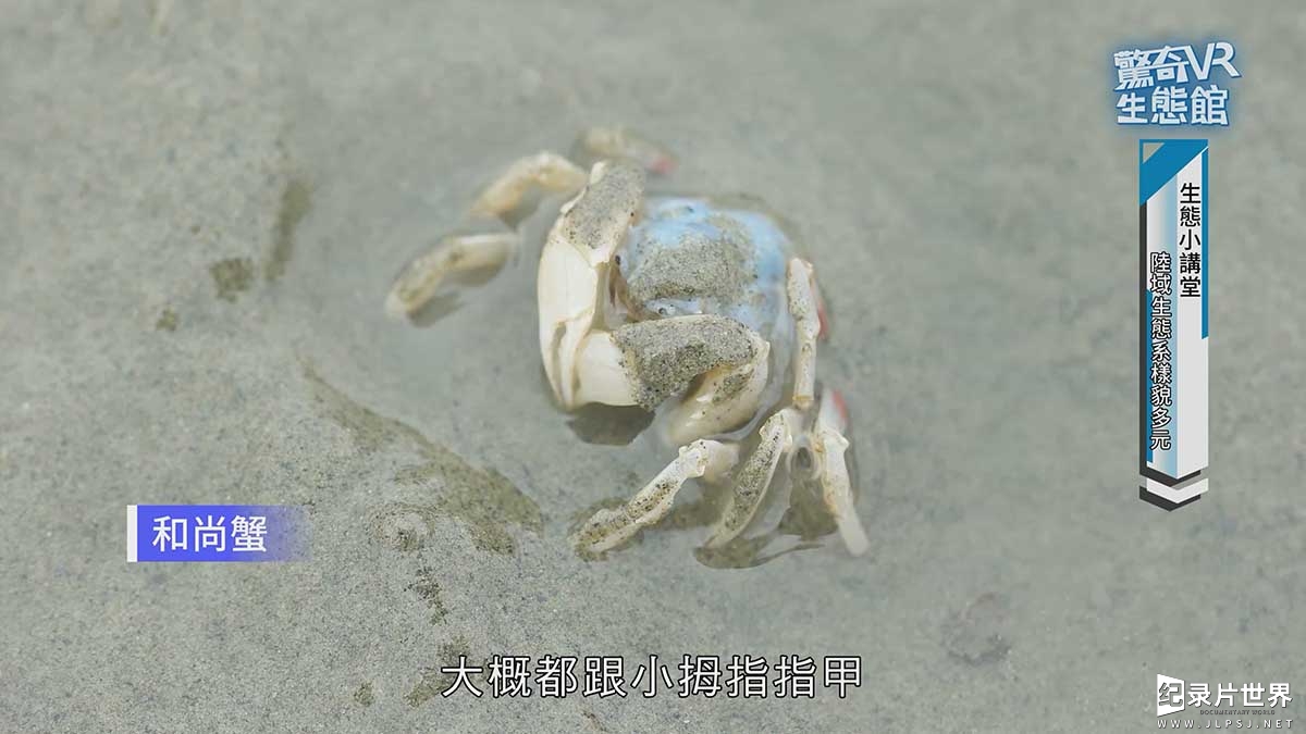台湾自然生态纪录片《惊奇VR生态馆》全36集