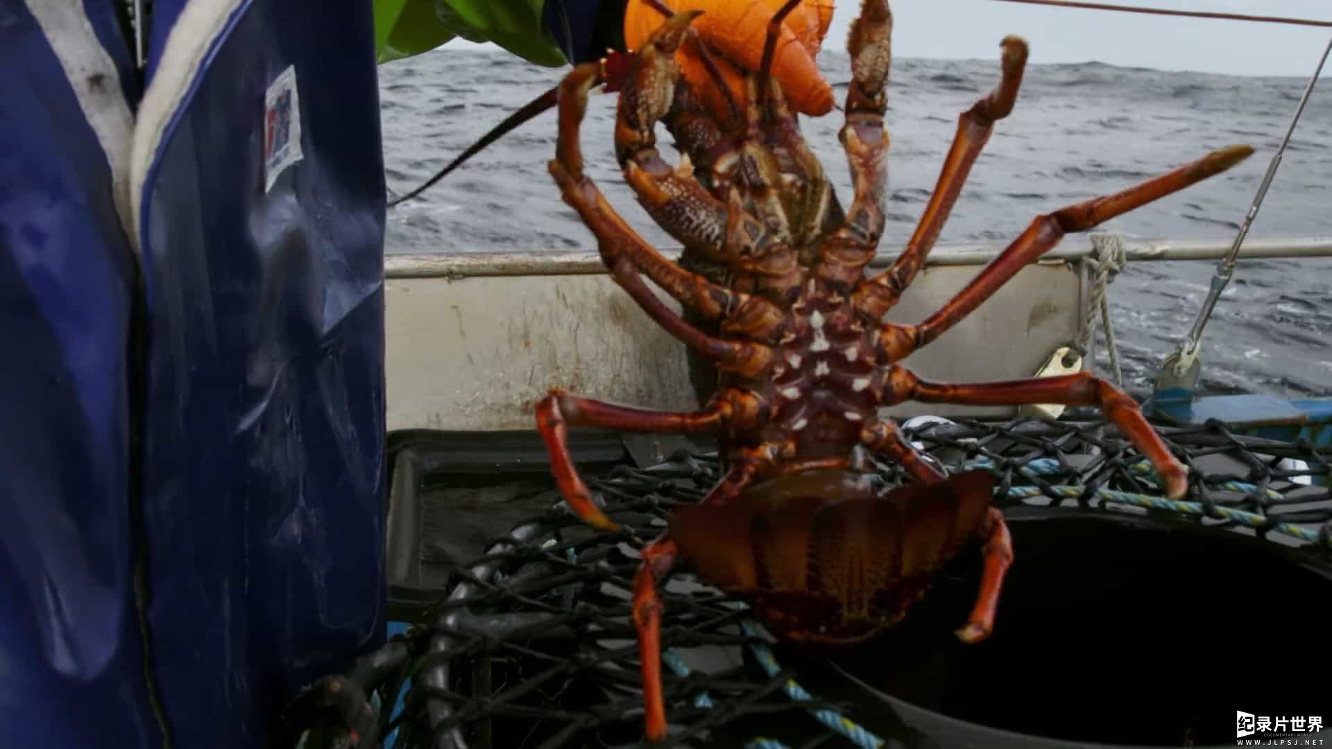 澳大利亚纪录片《龙虾争夺战 Aussie Lobster Men》全1-2季共18集