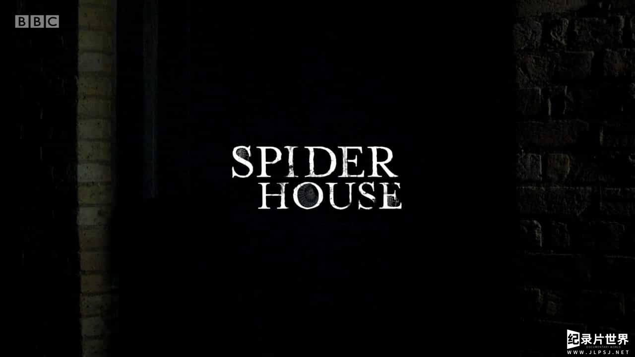 BBC纪录片《蜘蛛屋 Spider House 2014》全1集