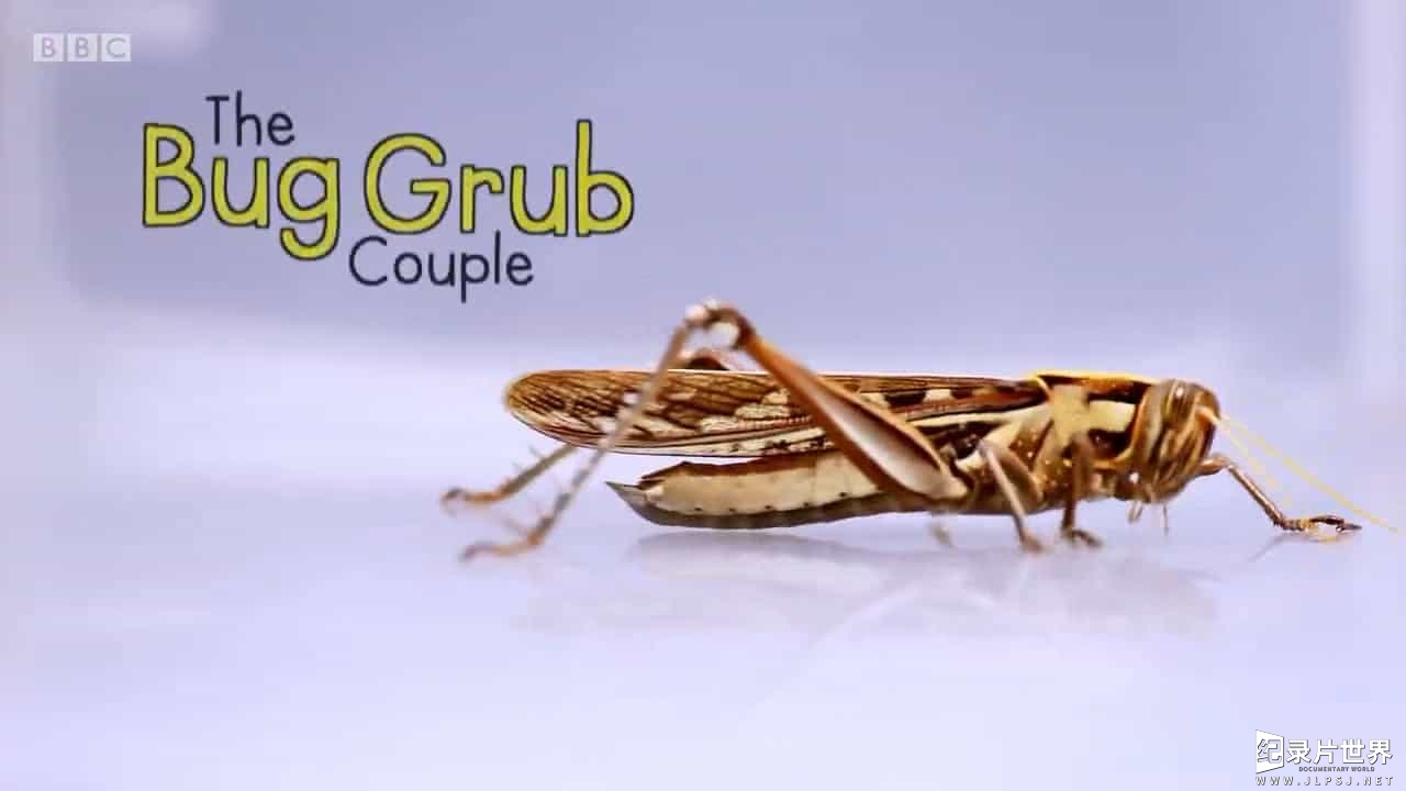 BBC纪录片《食虫二人组 The Bug Grub Couple 2017》全1集