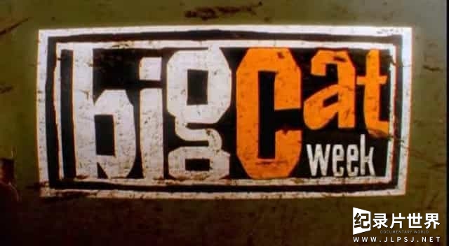 BBC纪录片《狮虎豹 Big Cat Week 2006》全1集