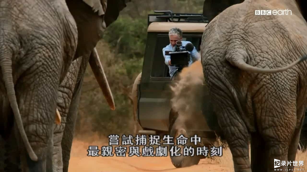 BBC纪录片《假如动物会摄影 Animals with Cameras 2018》全3集