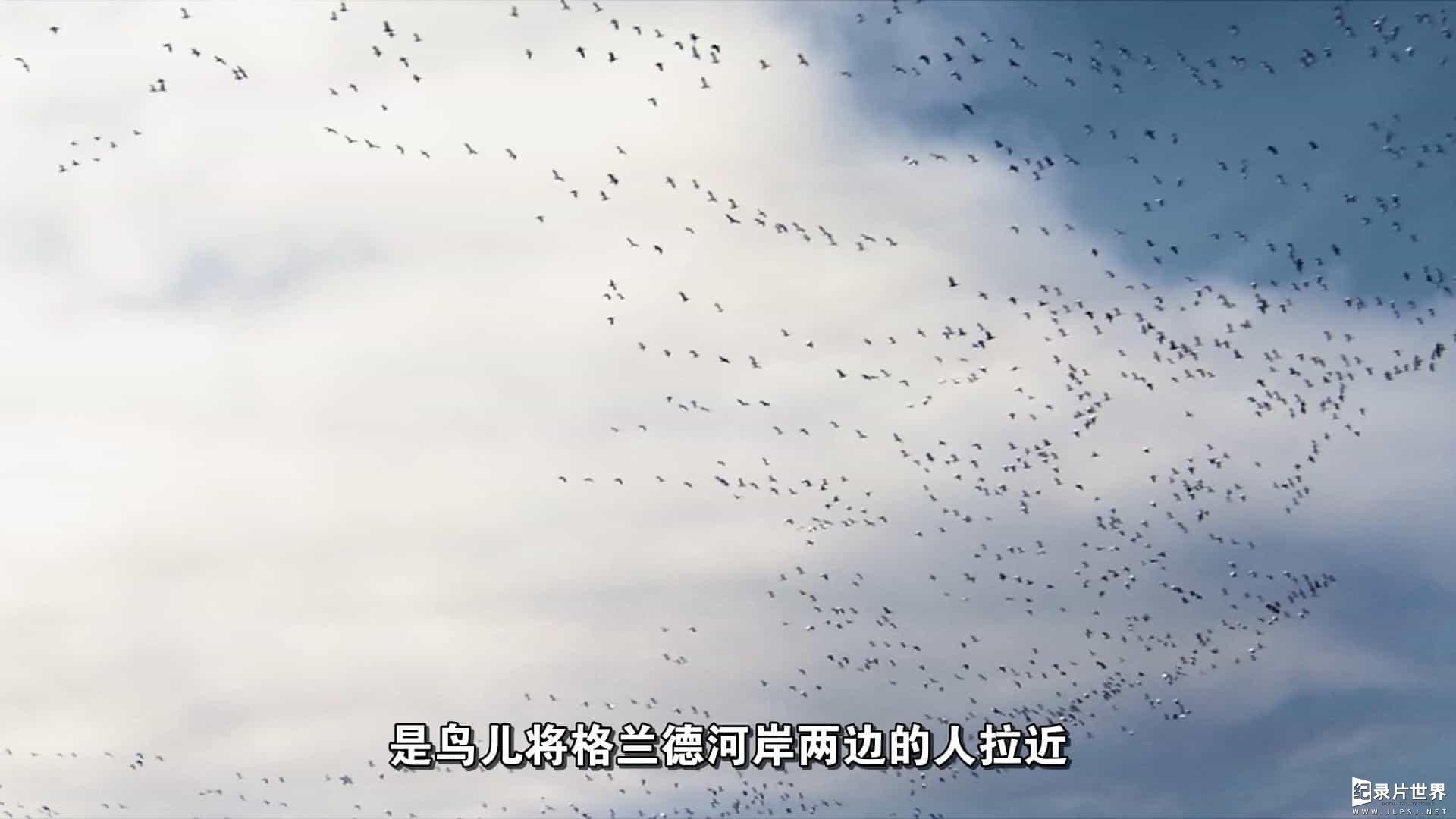 美国纪录片《观鸟者 Birders》全1集