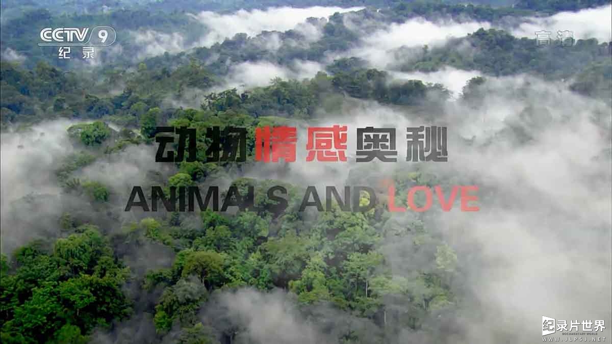 BBC纪录片《恋爱中的动物/动物情深 Animals and Love》全2集