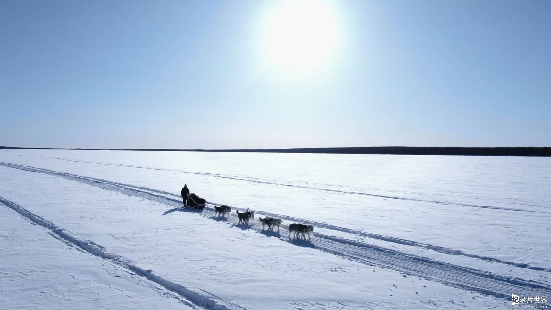 BBC/国家地理《零度以下的生活：下一代/零下极限生活 Life Below Zero: Next Generation 2020-2022》第1-3季全32集