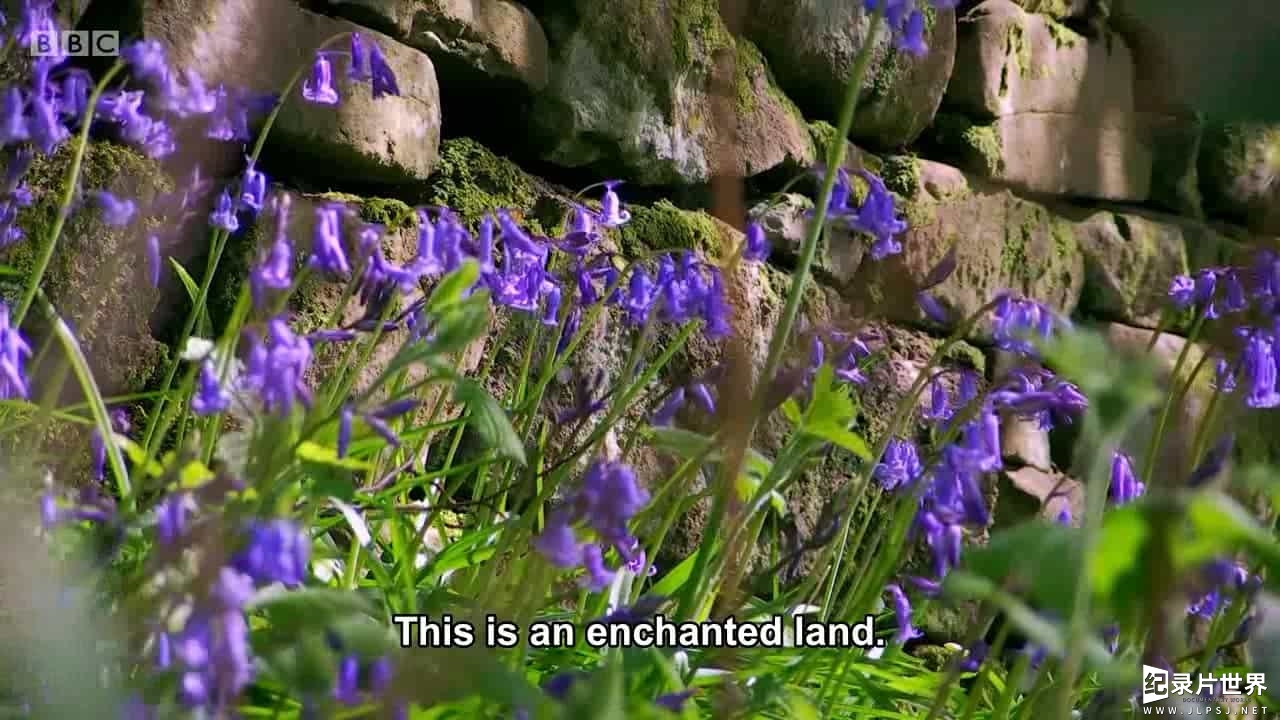 BBC纪录片《苏格兰湖泊胜景/苏格兰海湾的伟大之旅 Grand Tours of Scotland's Lochs 2017》全6集