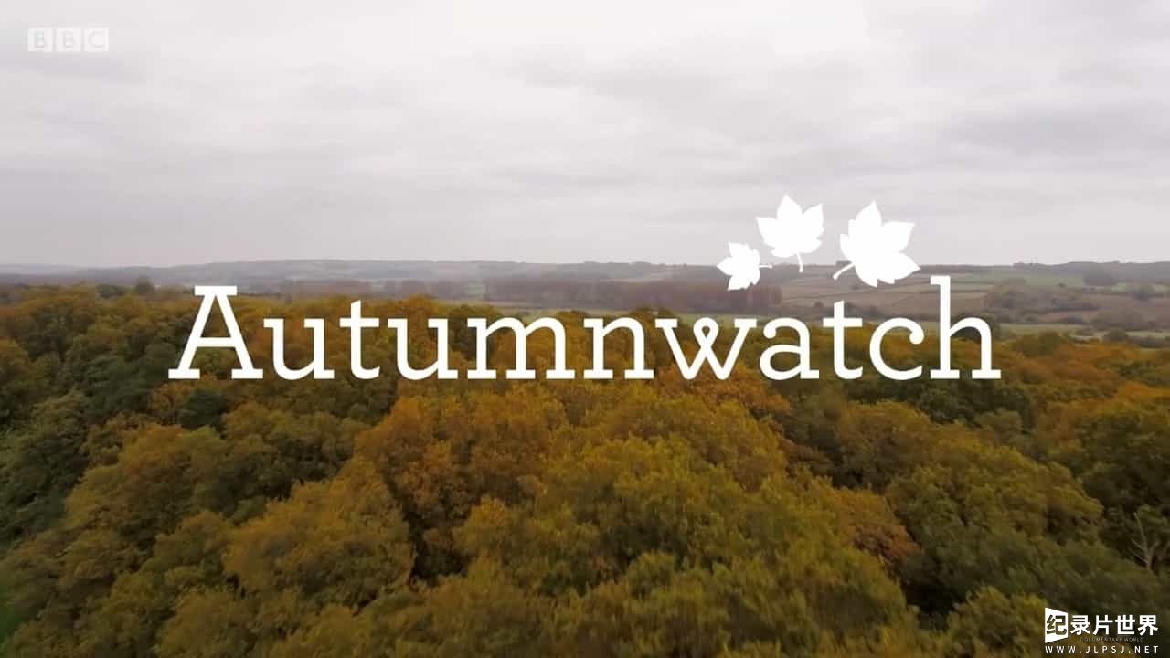 BBC纪录片《赏秋 Autumnwatch 2017》全4集