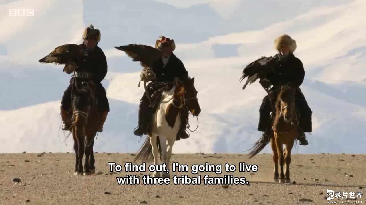 BBC纪录片《部落、猛兽和我 Tribes Predators Me 2017》全3集 