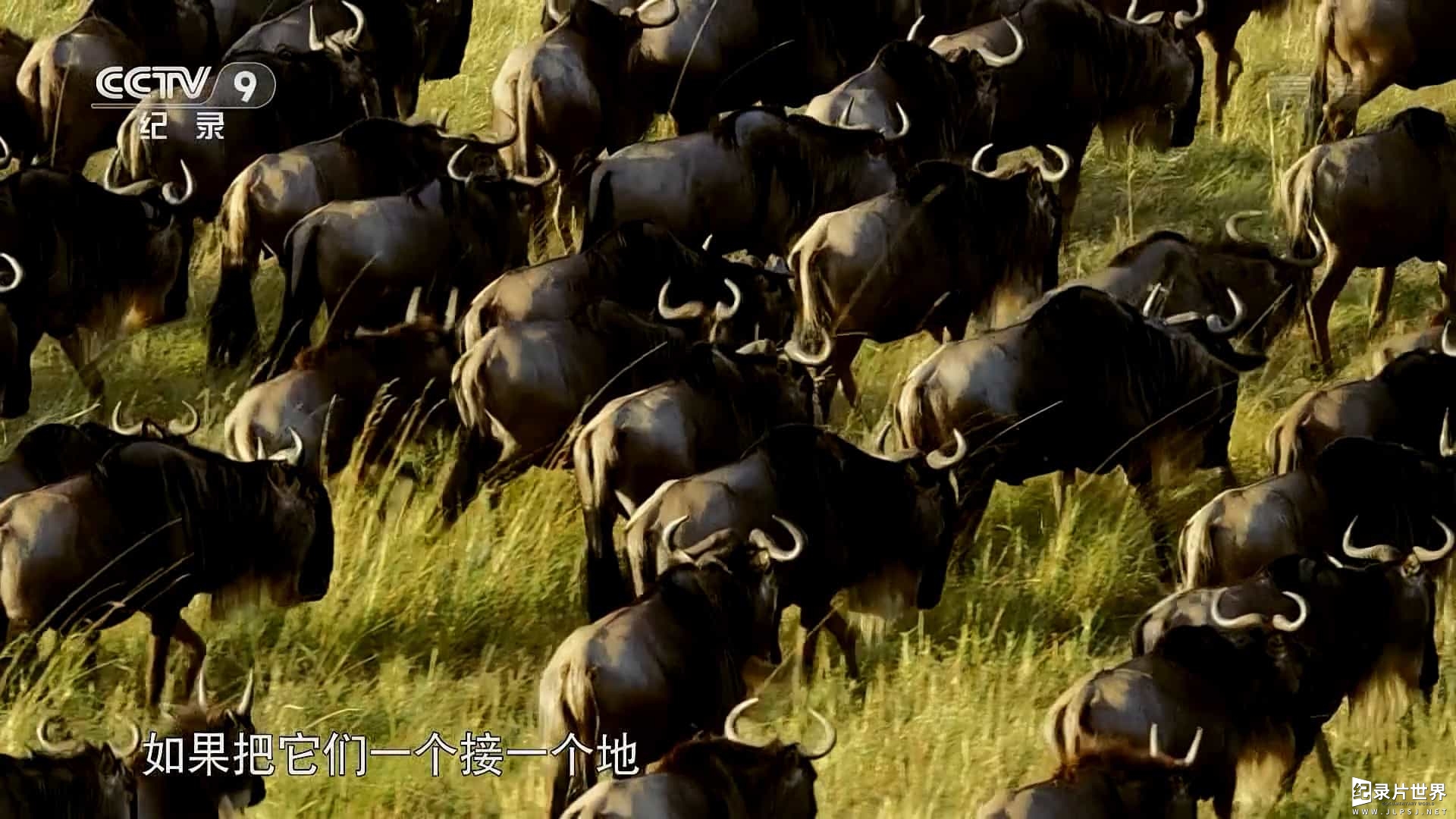 BBC纪录片《圆圆的星球/地球生物圈/行星生物圈 Round Planet 2016》全5集