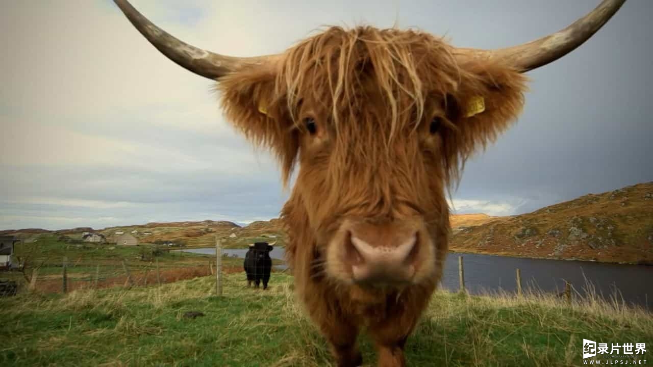 BBC纪录片《农场生活 This Farming Life 2016》第1-2季全24集