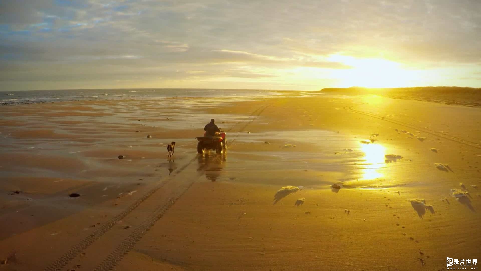 BBC纪录片《农耕生活/农场生活/耕种生活 This Farming Life 2016-2022》第1-5季全60集