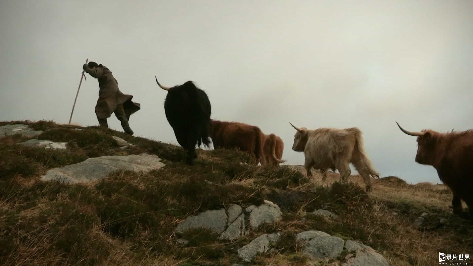 BBC纪录片《农耕生活/农场生活/耕种生活 This Farming Life 2016-2022》第1-5季全60集