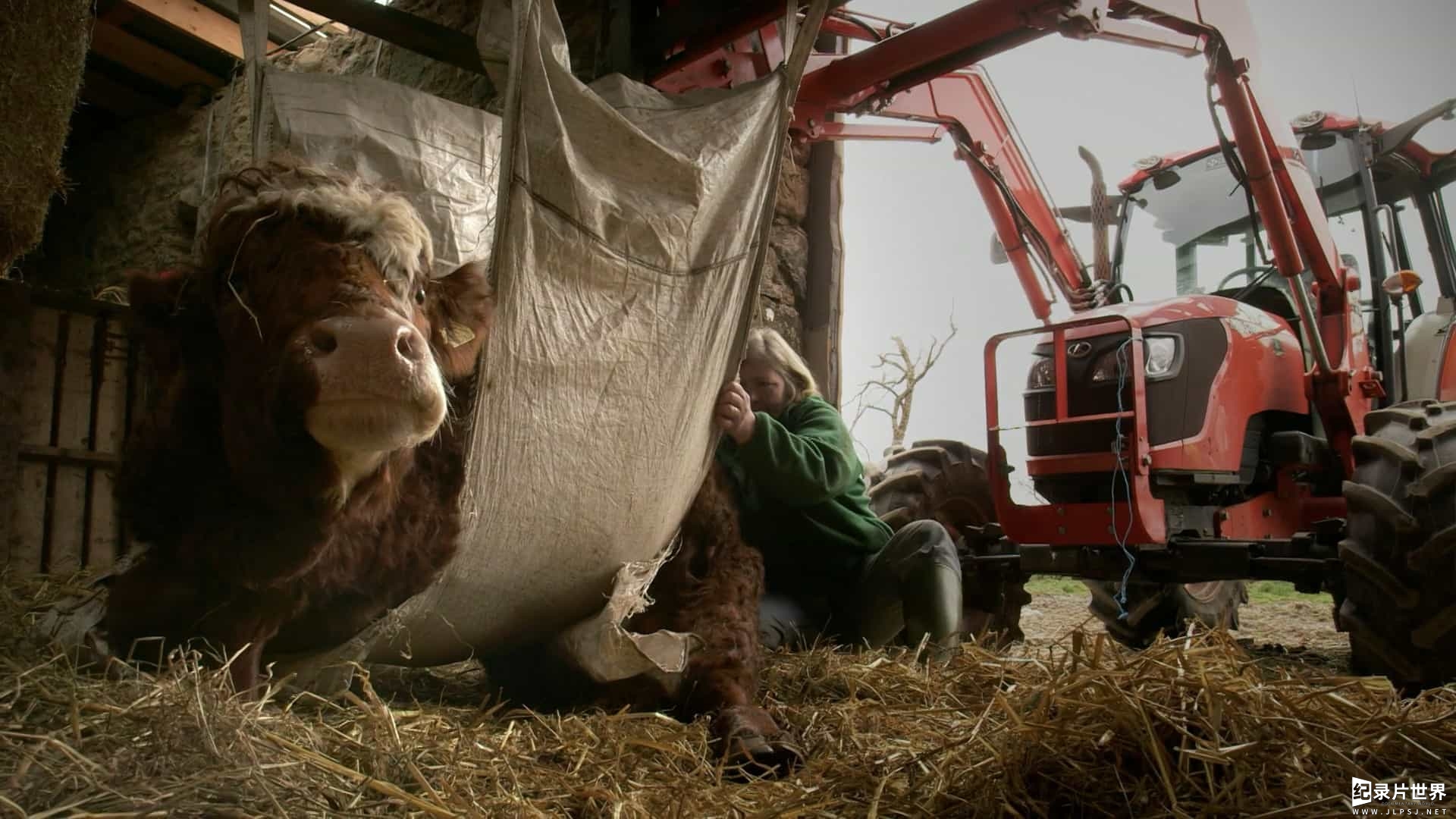 BBC纪录片《农耕生活/农场生活/耕种生活 This Farming Life 2016-2022》第1-5季全60集