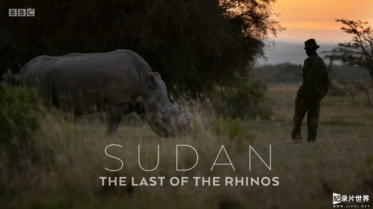 BBC纪录片《苏丹：最后的犀牛Sudan The Last of the Rhinos 2017》全1集