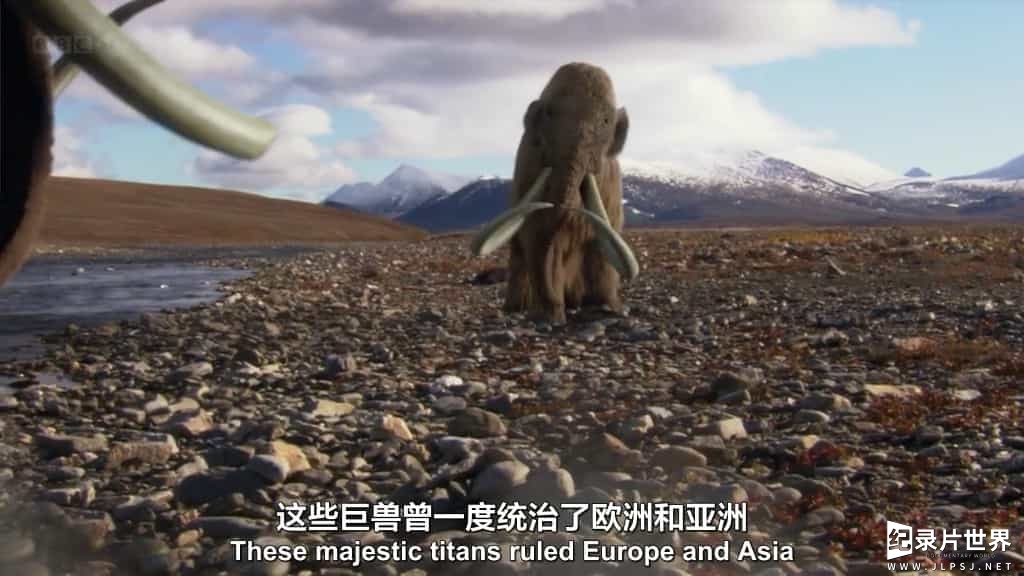 BBC纪录片《长毛猛犸象 冰封之迷 Woolly Mammoth Secrets from the Ice》全1集