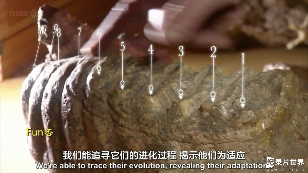 BBC纪录片《长毛猛犸象 冰封之迷 Woolly Mammoth Secrets from the Ice》全1集