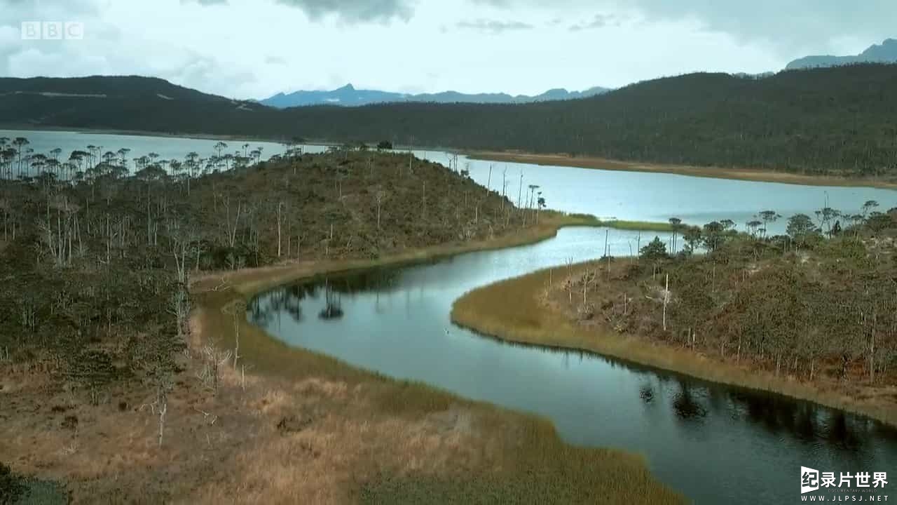 BBC纪录片《激流勇进：探索巴列姆河 Down the Mighty River with Steve Backshall 2017》全2集