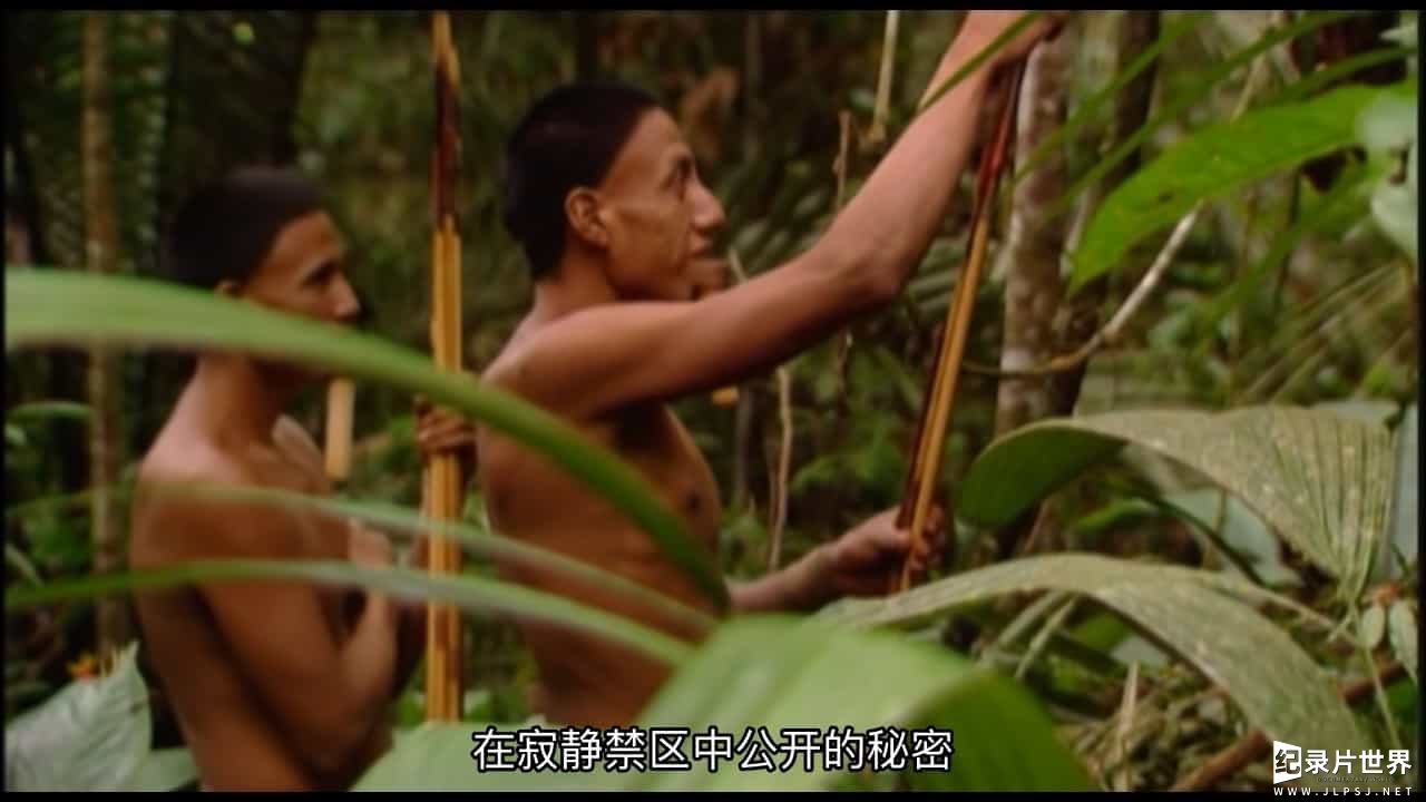 寻找原始部落实拍系列纪录片《亚马逊天堂：与世隔绝的佐伊部落》全1集