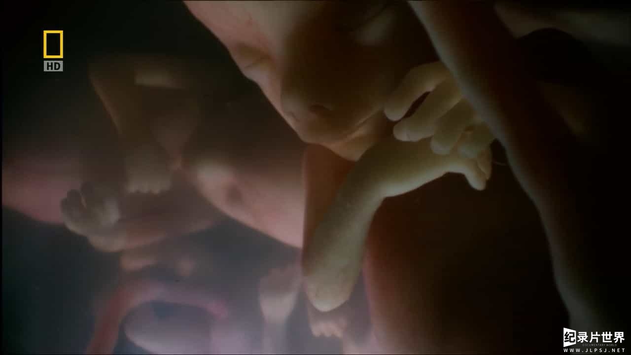 国家地理频道《子宫日记 In the Womb》全集 