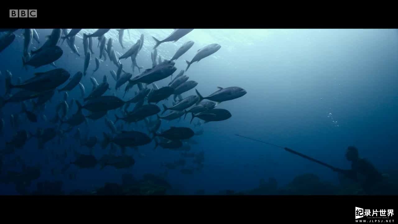 BBC纪录片《水下人生 A Life Underwater 2015》全1集