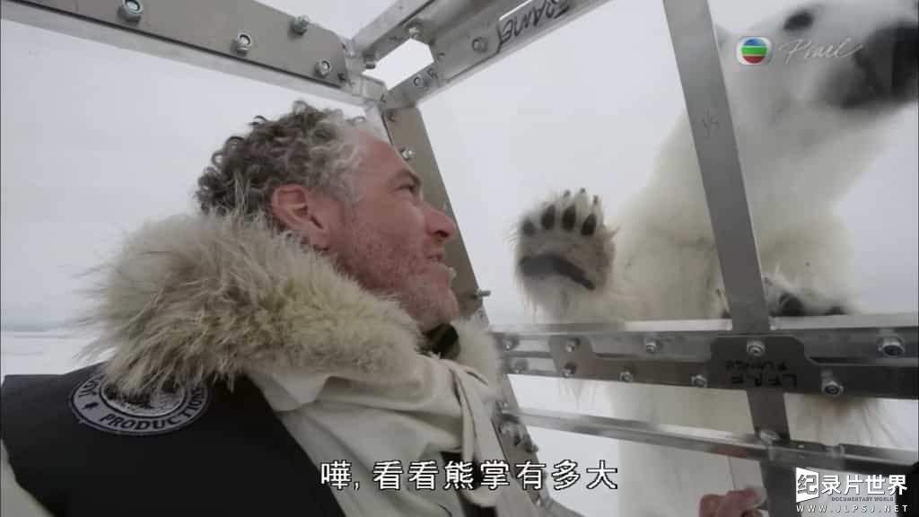BBC纪录片《我和北极熊一家 The Polar Bear Family》全3集
