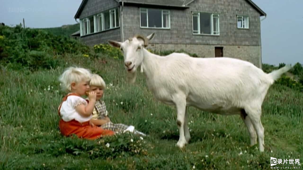 BBC纪录片《电影里的英国 动物魔力Britain on Film Animal Magic》全1集