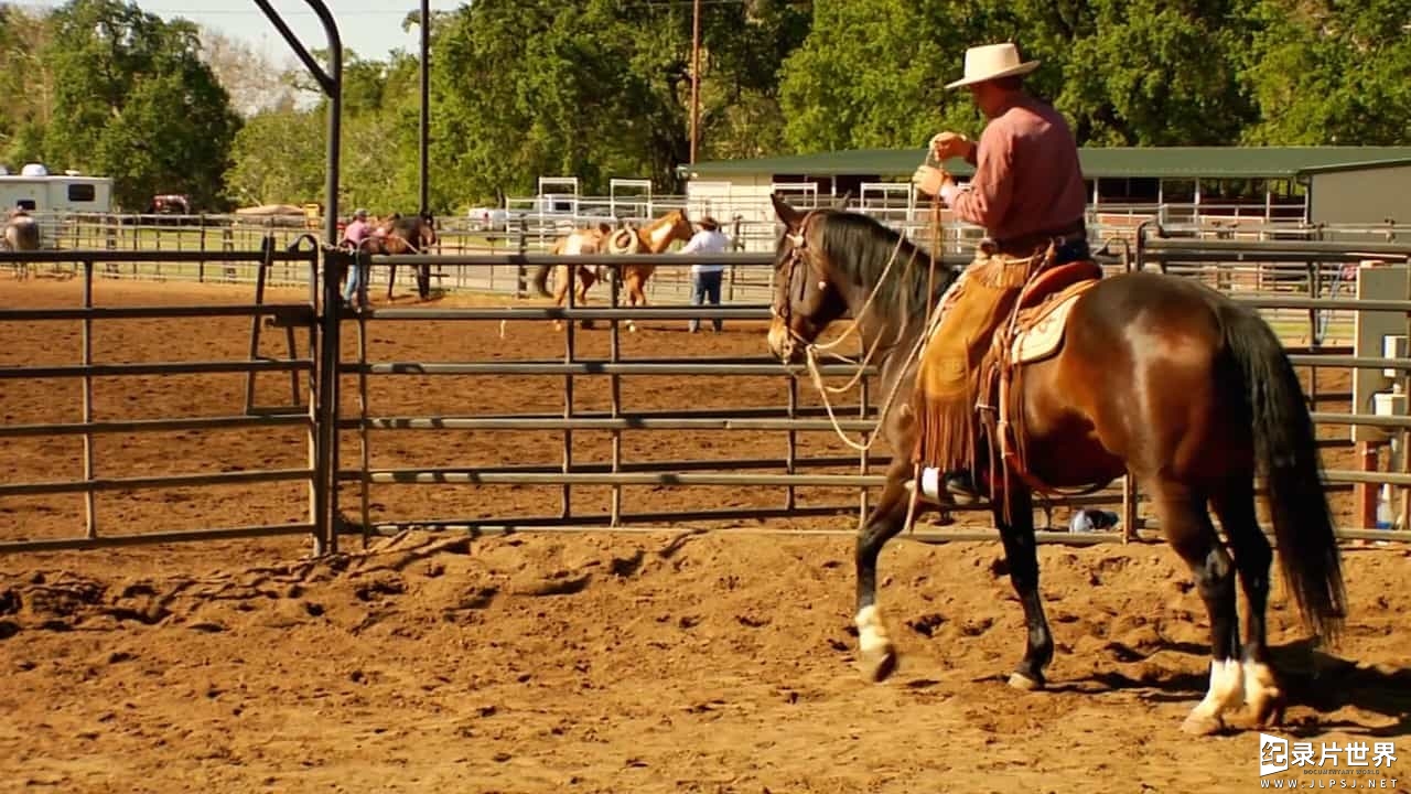 BBC纪录片《巴克:真正的马语者 Buck The Real Horse Whisperer》全1集