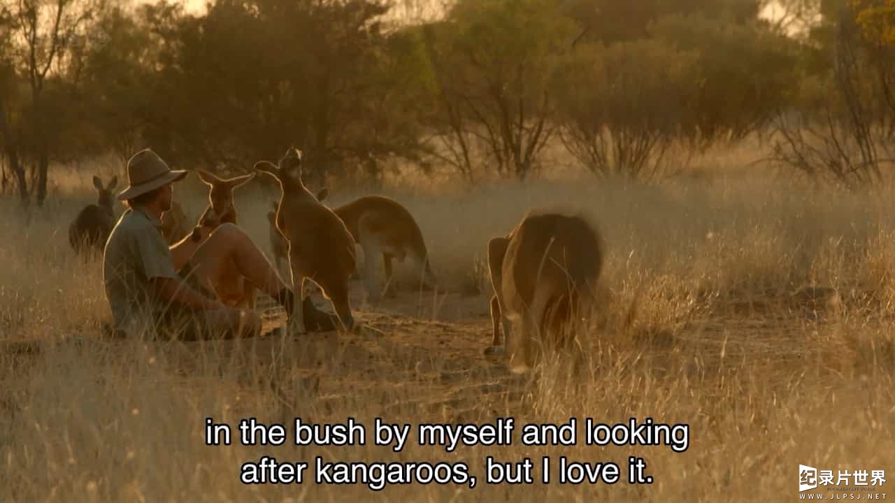 BBC纪录片《自然世界:袋鼠邓迪 The Natural World: Kangaroo Dundee》全1集