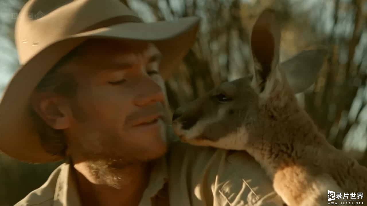 BBC纪录片《自然世界:袋鼠邓迪 The Natural World: Kangaroo Dundee》全1集