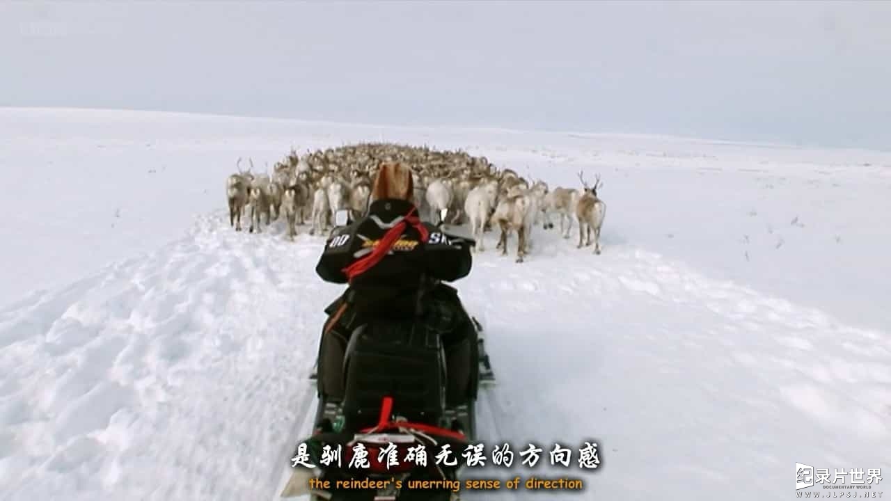 BBC纪录片《自然世界 驯鹿女孩/驯鹿少女 Natural World Reindeer Girls》全1集