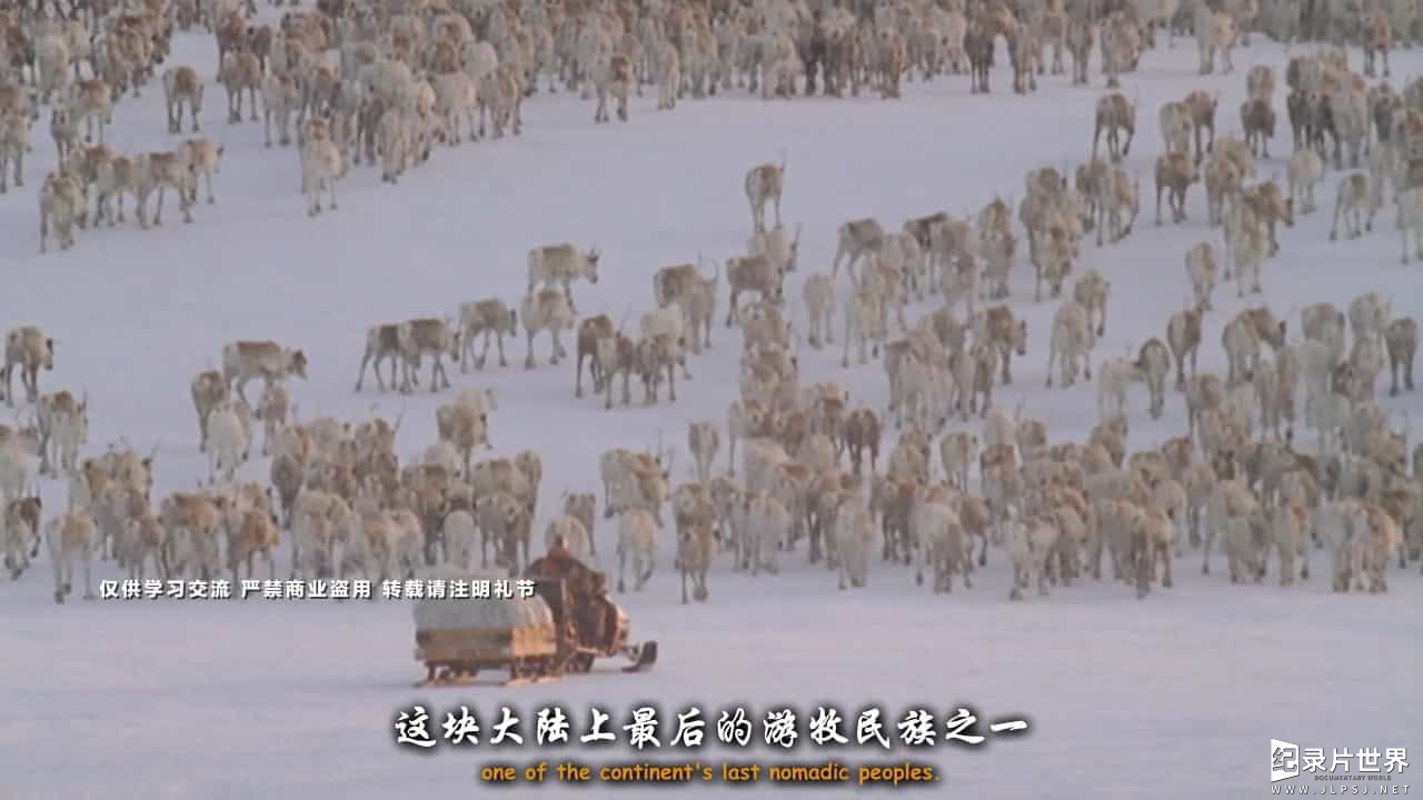 BBC纪录片《自然世界 驯鹿女孩/驯鹿少女 Natural World Reindeer Girls》全1集