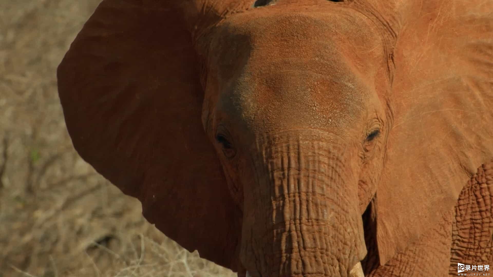 BBC纪录片《变化中的地球 Our Changing Planet 2022》全2集 