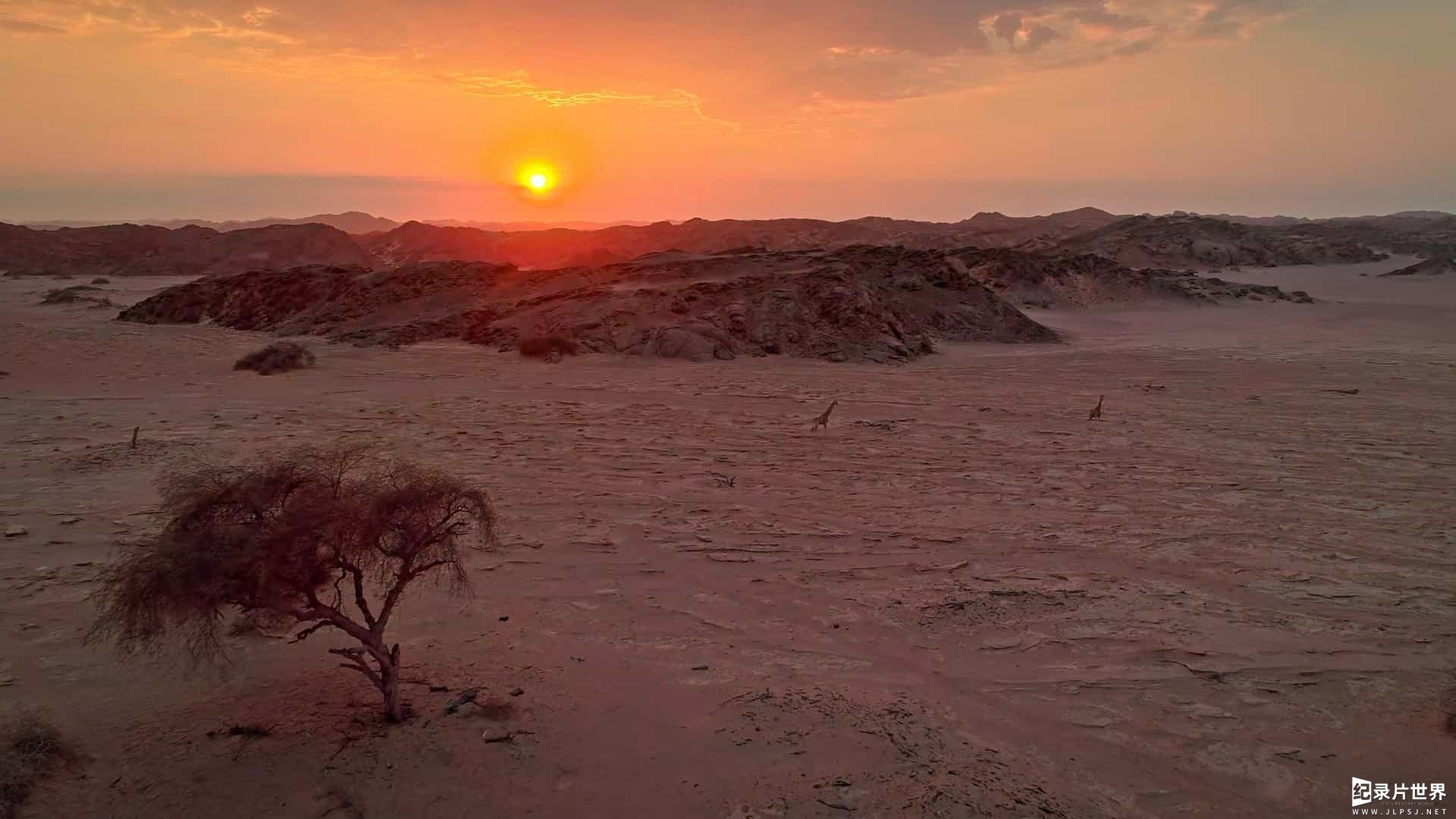 精选系列/法国纪录片《卡拉哈里：秘境之地 Kalahari: Land of Secret Alliances 2022》全3集 