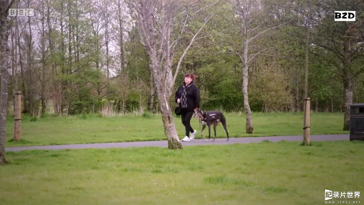 BBC纪录片《英国宠物狗交易揭秘 Panorama - Britain's Puppy Dealers Exposed 2016》全1集
