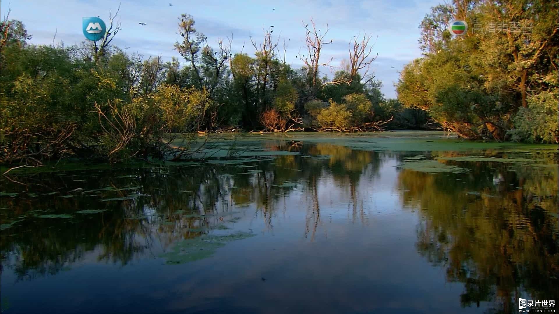 国家地理《多瑙河-欧洲的亚马孙/野性多瑙河 Danube: Europe’s Amazon》全2集 