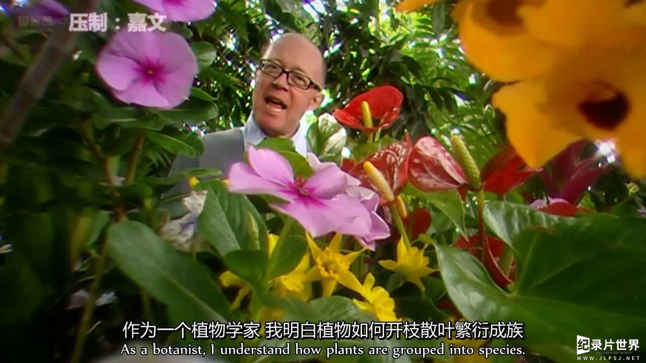 BBC纪录片《植物学:绽放的历史 Botany-A Blooming History》全3集 