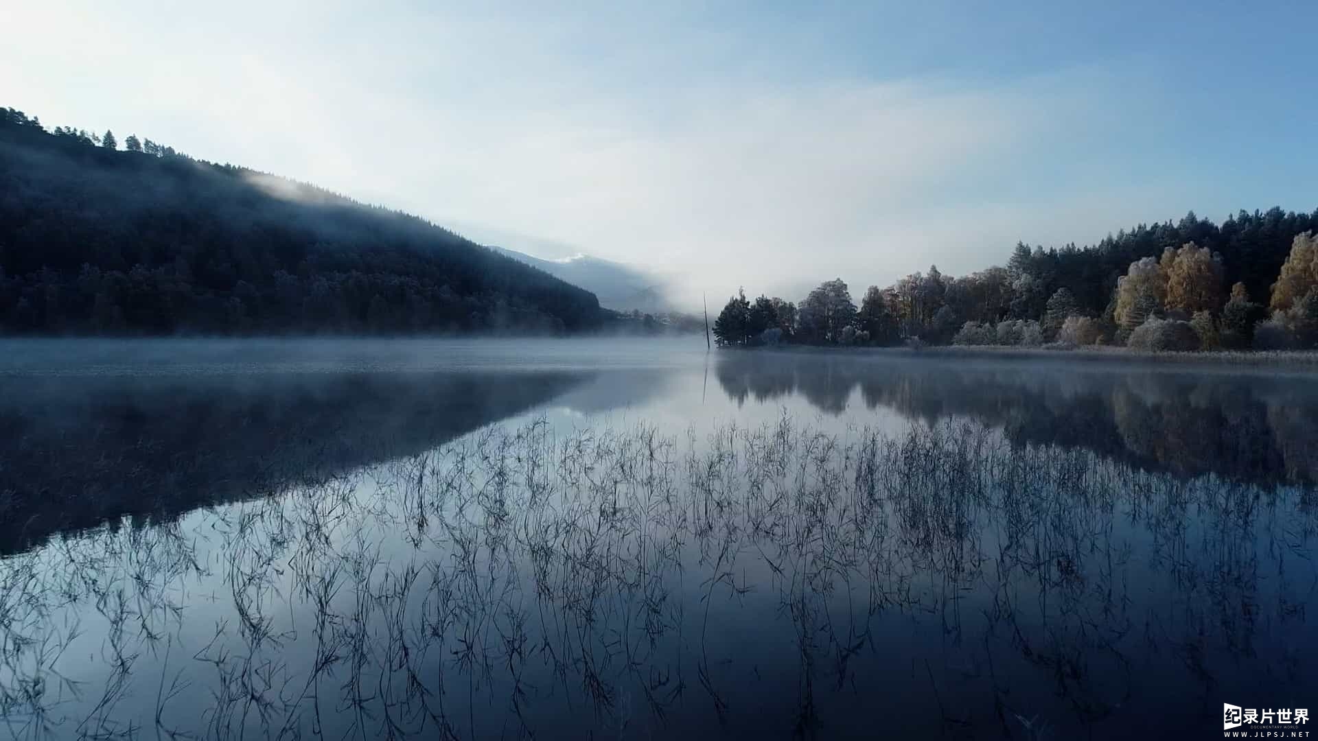 新西兰纪录片《苏格兰：狂野之年/苏格兰：狂野的一年/乡野四季 Scotland: A Wild Year 2022》第1季全4集