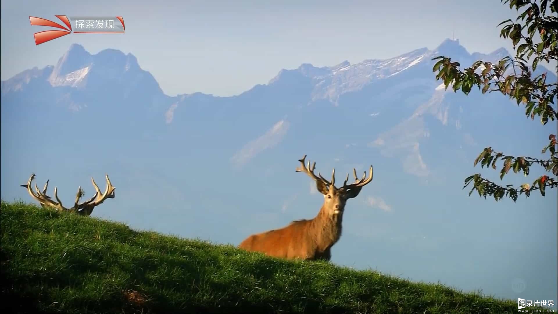 国家地理《巴伐利亚奇幻国度 Bavaria's Alpine Kingdom》全1集