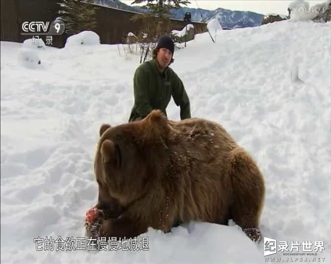 国家地理《荒野探秘/荒野远征 Expedition Wild 2017》全4集 